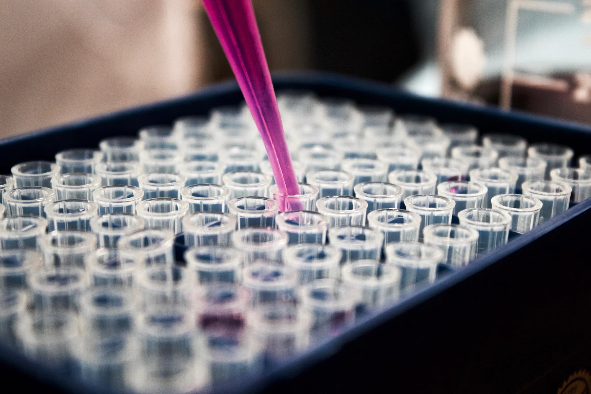 Sample tubes on an analyser bench.
